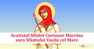 Image result for Sfânta Macrina