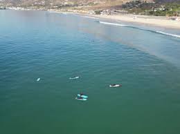 Image result for Scarborough Malibu Surf Club