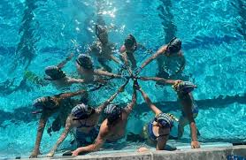 Image result for Caversham Underwater Hockey Club