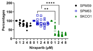 「エンリカ・クローチェ」の画像検索結果