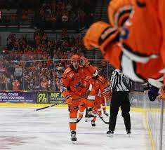 Image result for Sheffield Steelers