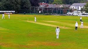 Image result for Norden Cricket Club
