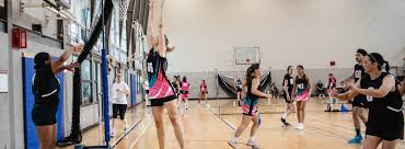 Image result for Chequers Netball Club