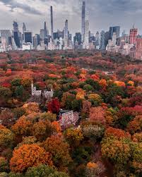 Image result for $$fall_akte__ort$$