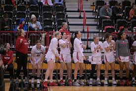 Image result for Elmbridge Girls Basketball Club