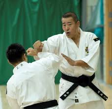 Image result for Harrow Shorinji Kempo