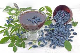 Attēlu rezultāti vaicājumam “Linnaea borealis fruit”