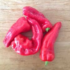 Afbeeldingsresultaat voor aconcagua sweet pepper