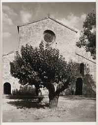 Image result for David Heald