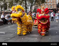 Image result for leicester dragons