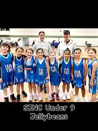 Image result for Timsbury Netball Club