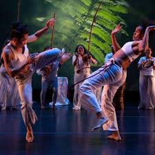 Image result for Capoeira Agora