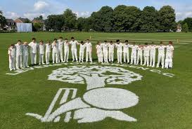Image result for Potten End Cricket Club
