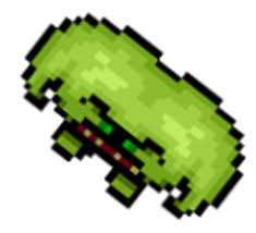 Image result for gnaar