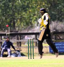 Image result for Mildenhall Cricket Club