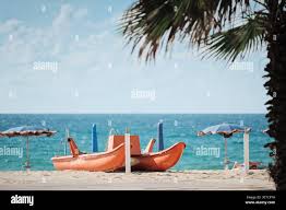 Image result for Weymouth Canoe Lifeguards