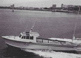 Image result for British Conger Club