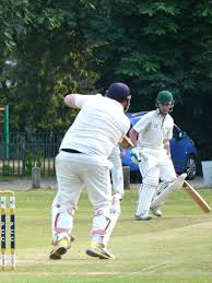 Image result for Waverley Cricket Club