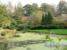 Image result for Horsforth Cc