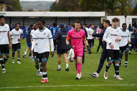 Image result for Dorking Football Club Limited