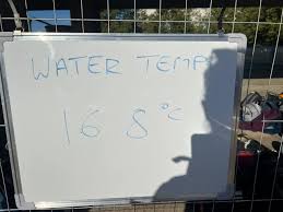 Image result for Saxon Crown (Lewisham) Swimming Club