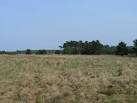 Heath/Grassland Ecosystem - via Daymix