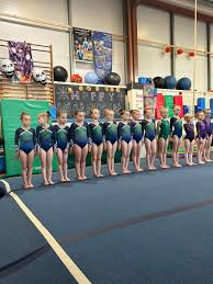 Image result for Abbey Fit Gymnastics