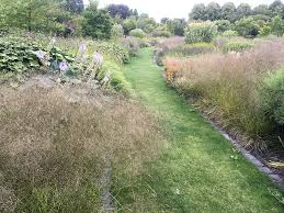 Image result for Piet Oudolf