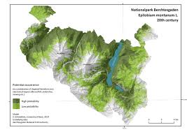 Attēlu rezultāti vaicājumam “Epilobium montanum”