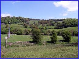 Image result for Matlock Rugby Club