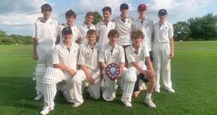 Image result for All Cannings Cricket Club