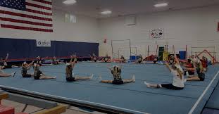 Image result for Gym Stars