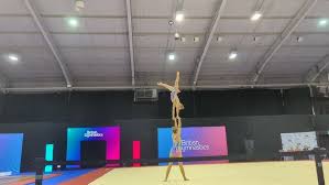 Image result for L&G Acrobatics