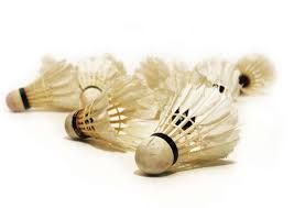 Image result for Stamford Badminton Club