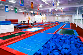 Image result for Wyre Forest School Of Gymnastics
