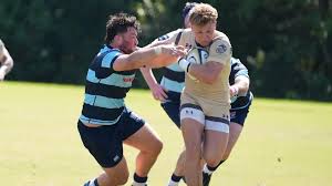 Image result for Thornhill Rugby League Football Club