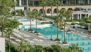 Attēlu rezultāti vaicājumam “Dama dama”