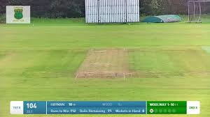 Image result for Cornwood Cricket Club