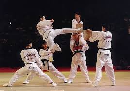 Image result for Kidderminster Tae Kwon Do Tigers