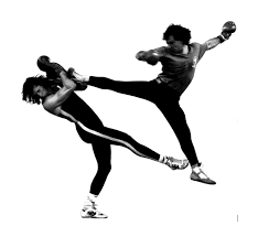 Image result for Savate Uk (Guildford)