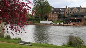 Image result for Thames Punting Club