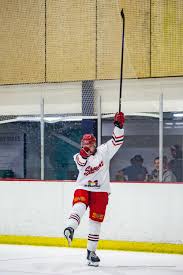 Image result for Streatham Night Wolves Ice Hockey Team
