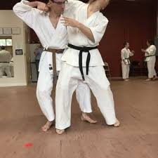 Image result for Uechi-Ryu Karate Do, Hedge End