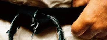 Image result for Sandokai Karate