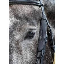 Image result for scheuklappen