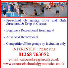 Image result for Carousel School Of Gymnastics