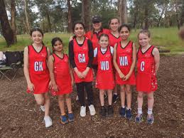 Image result for Waverley Netball Club
