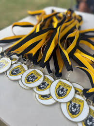 Image result for Allestree Juniors Football Club