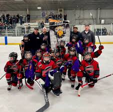 Image result for Arbroath Hurricanes Skater Hockey Club