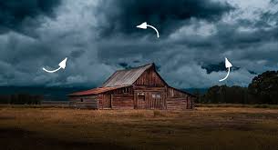 Image result for bilder